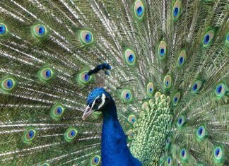 „Spätsommar“-Spaziergang am 25. September