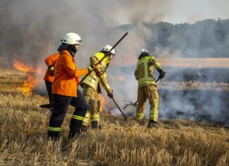 Feuerwehrbericht 2019: Zahl der Einsatzkräfte konstant