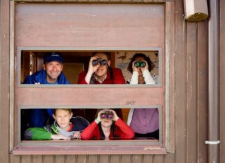 Mit dem NABU den Vogelzug erleben