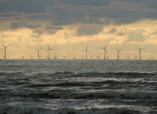 Drei Viertel der Deutschen finden, dass die Bundesregierung den Ausbau von Windkraftanlagen auf See stärker vorantreiben sollte.