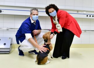 Hundenasen im Corona-Test – Gesundheitsministerin besucht Modellprojekt