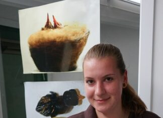 Nachwuchs im Weltvogelpark: Kuckuckskinder im Kolibrihaus