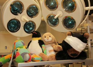 Teddy und Einhorn beim Zoo-Tierarzt