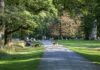 Rehe im Tiergarten Hannover