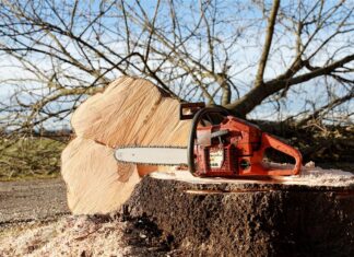 Baumfällungen in den Stadtwäldern und Landschaftsräumen beginnen in dieser Woche
