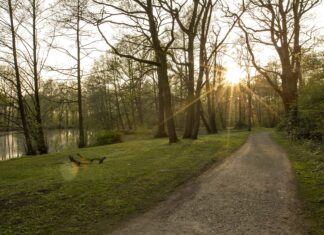 150 Jungpflanzen für den Stadtwald Eichenpark/Heestern in Langenhagen