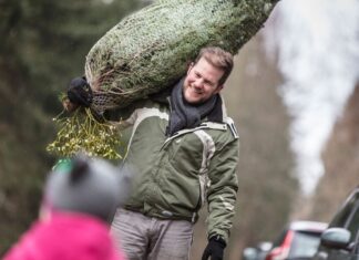 Weihnachtsbaumverkauf im Misburger Wald