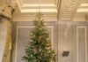 Weihnachtsbaum