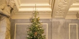 Weihnachtsbaum