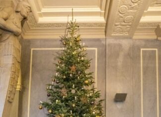 „O Tannenbaum“ in modernem musikalischen Gewand Virtuelle Weihnachtsgrüße des Polizeiorchesters Niedersachsen Weihnachtsbaum