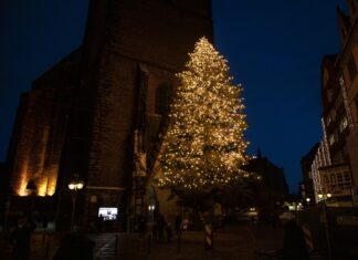 18 Meter hoher Tannenbaum an der Marktkirche erstrahlt im Licht von 2.300 Lampen