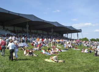 NEUE BULT zur „Rennbahn des Jahres“ gewählt Pferderennbahn "Neue Bult" (Archivbild)