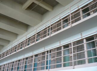 Weihnachtsgnade bringt 55 Strafgefangenen eine vorzeitige Haftentlassung