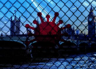 Variante des Corona-Virus aus Großbritannien erstmals in Niedersachsen nachgewiesen