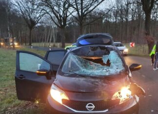 Entlaufenes Pferd kollidiert mit Pkw: Autofahrerin verletzt, Tier verstirbt am Unfallort