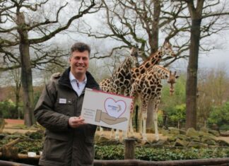 Neue Wege für bärenstarke Unterstützung