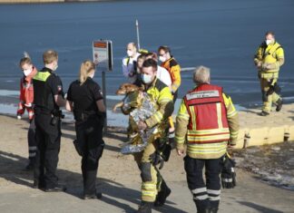 Rettungsaktion eines Hundes am Silbersee endet glimpflich