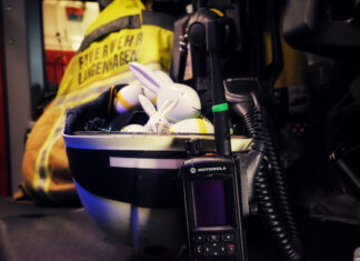 Osteraktion der Ortsfeuerwehr Schulenburg – Kinder aufgepasst!