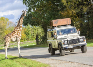 Serengeti-Park öffnet am 08. März in Teilen