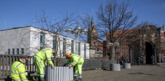 Zierkirschen und Zieräpfel bringen den Frühling in die Innenstadt.