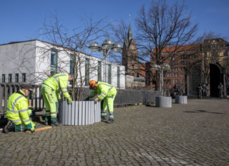 Zierkirschen und Zieräpfel bringen schon den Frühling in die Innenstadt von Hannover Zierkirschen und Zieräpfel bringen den Frühling in die Innenstadt.