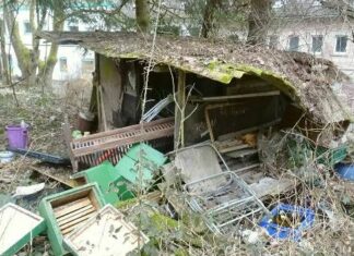 Wer hat Bienenstöcke zerstört?