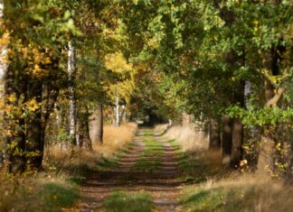 Osterferien im Naturpark Steinhuder Meer