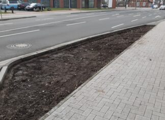 Stauden säumen demnächst Walsroder Straße im weiteren Abschnitt