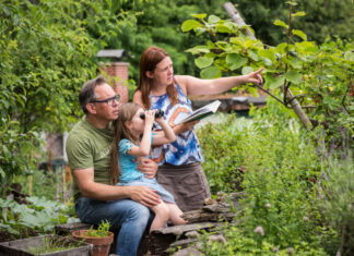 „Stunde der Gartenvögel“ 2021