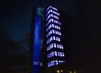 Lichtinstallation zum Weltwassertag – Wege in der Natur laden zu Erkundungen ein