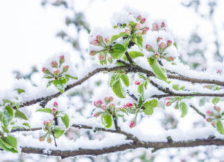 April, April – der macht, was er will!