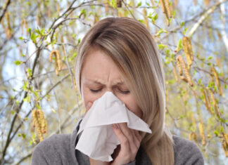 Sie sind wieder da! – Birkenpollen Pollenallergie