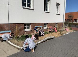 „Die kleinen Künstler“ schaffen Blütenmeer für Bienen, Hummel und Co. Insektengarten Langenhagen