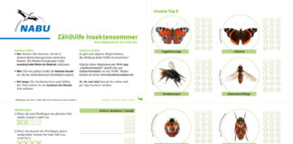 Insektensommer