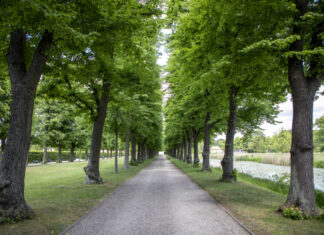 Mein Quartier 2030: Einladung zu Stadtteilspaziergängen in Herrenhausen-Stöcken Allee