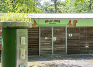 Sommerfest in der Waldstation Eilenriede fällt aus Waldstation Eilenriede