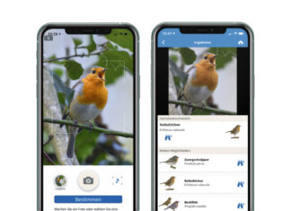 NABU launcht neue Funktionen der Vogelwelt-App Hand mit Vogel-App