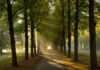 Allee Georgengarten Hannover