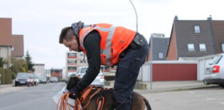 PSH Amber und Timo Schulz