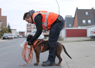 Diensthund Amber findet vermissten Senior PSH Amber und Timo Schulz