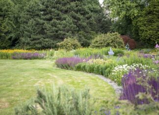 Deutsch-japanisches Sommerfest im Stadtpark wird aufs nächste Jahr verschoben Stadtpark Hannover
