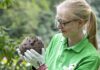 Tierärztin Karolin Schütte mit Igel