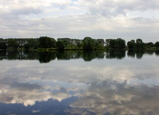 Erhöhtes Aufkommen von Blaualgen an Ricklinger Kiesteichen See