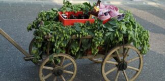 Bollerwagen
