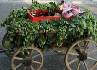 Himmelfahrtstag verläuft in Hannover ohne größere Zwischenfälle Bollerwagen