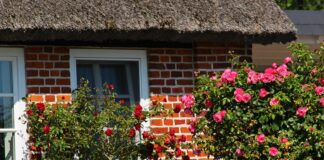 Haus mit Blumen