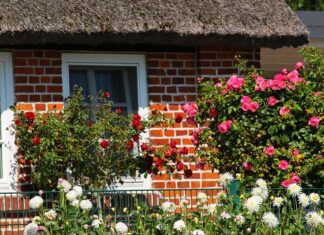 „Den Garten neu entdecken“ – Wettbewerb „GartenLust“ ist gestartet Haus mit Blumen