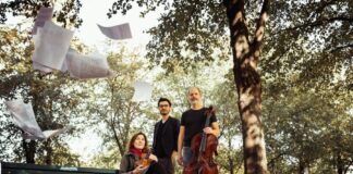 musica assoluta