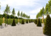 Gartentheater Herrenhausen