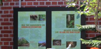 Plakat Neue Wilde